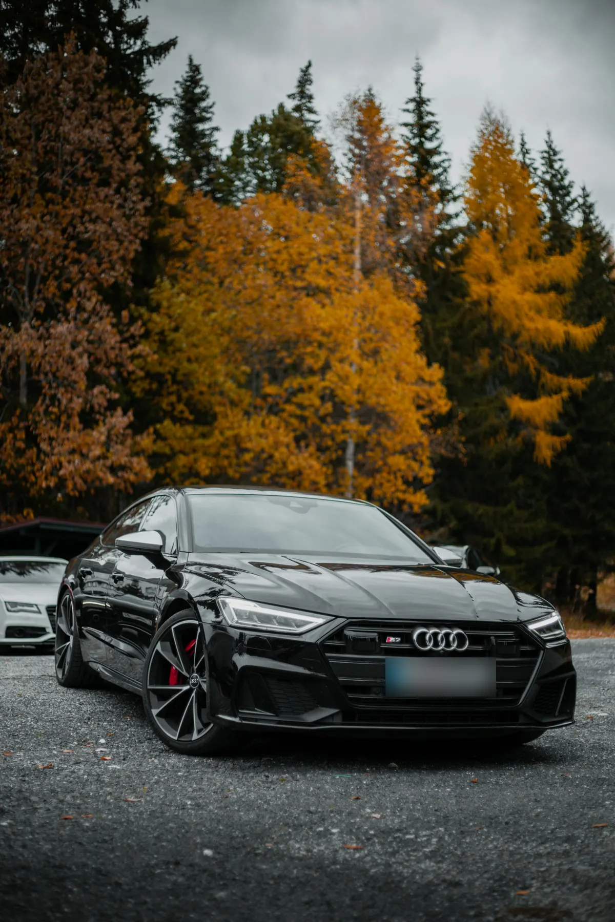 Front three-quarter view of a black Audi S7 Sportback (C8) parked in front of autumn trees