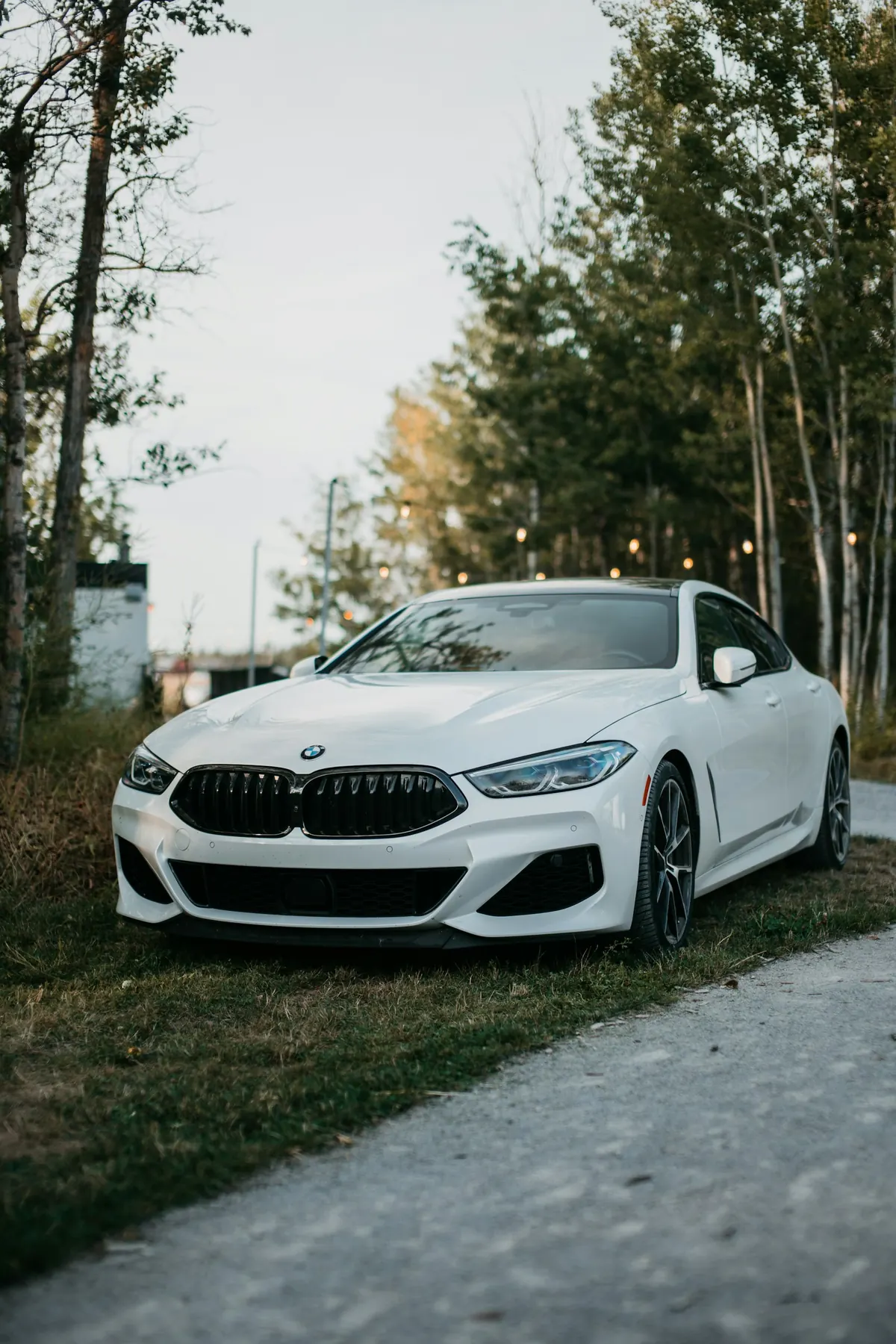 Front three-quarter view of a white BMW 840i Gran Coupe (G16) parked on grass by a forest road