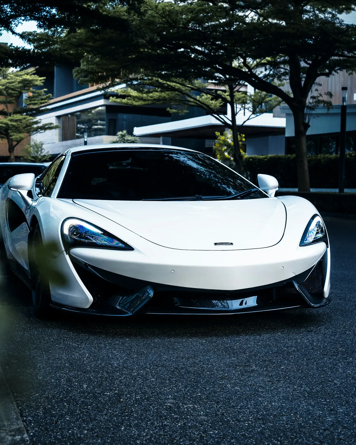 Front view of a white McLaren 570S on a tree-lined street by modern houses