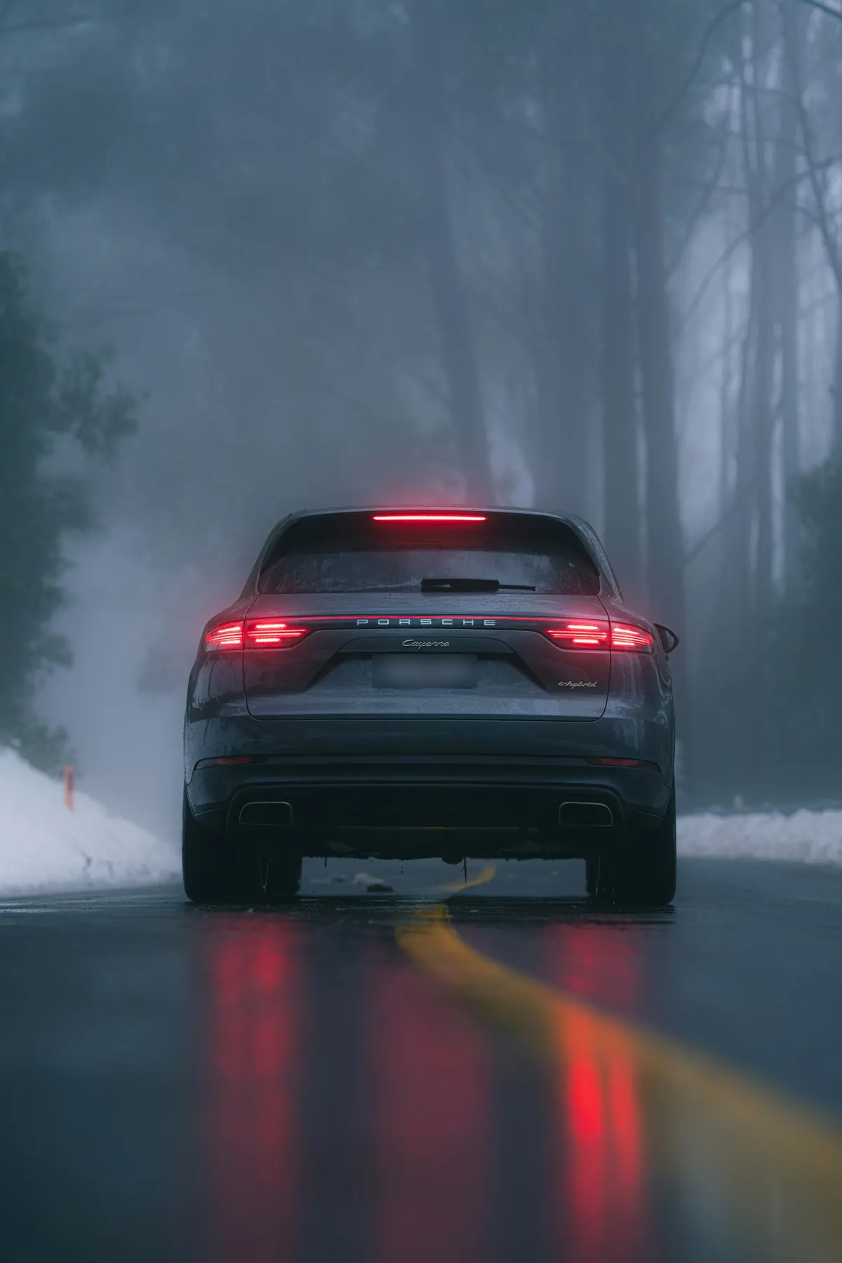 Rear view of a grey Porsche Cayenne E-Hybrid (E3.1) on a foggy forest road