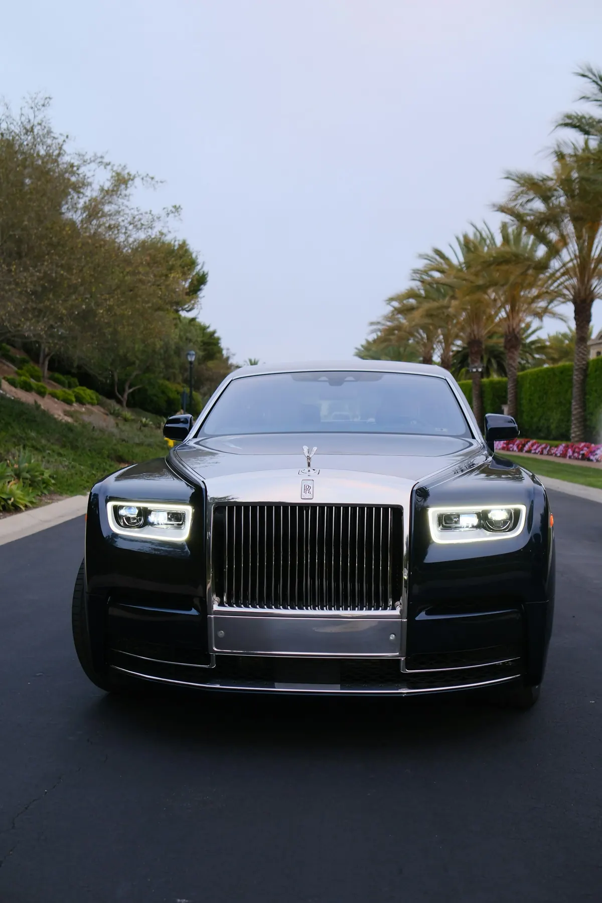 Front view of a black Rolls-Royce Phantom VIII with a silver hood on a palm-lined road